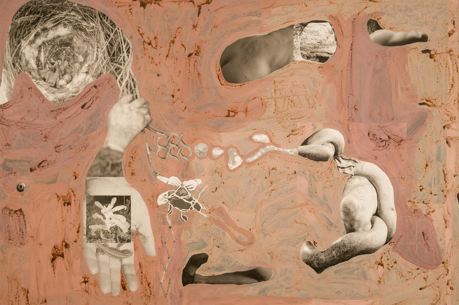 圖十二、《地勢 (關于時間，關于身體)》 (細節(jié)圖)，O?zlem Alt?n，2019